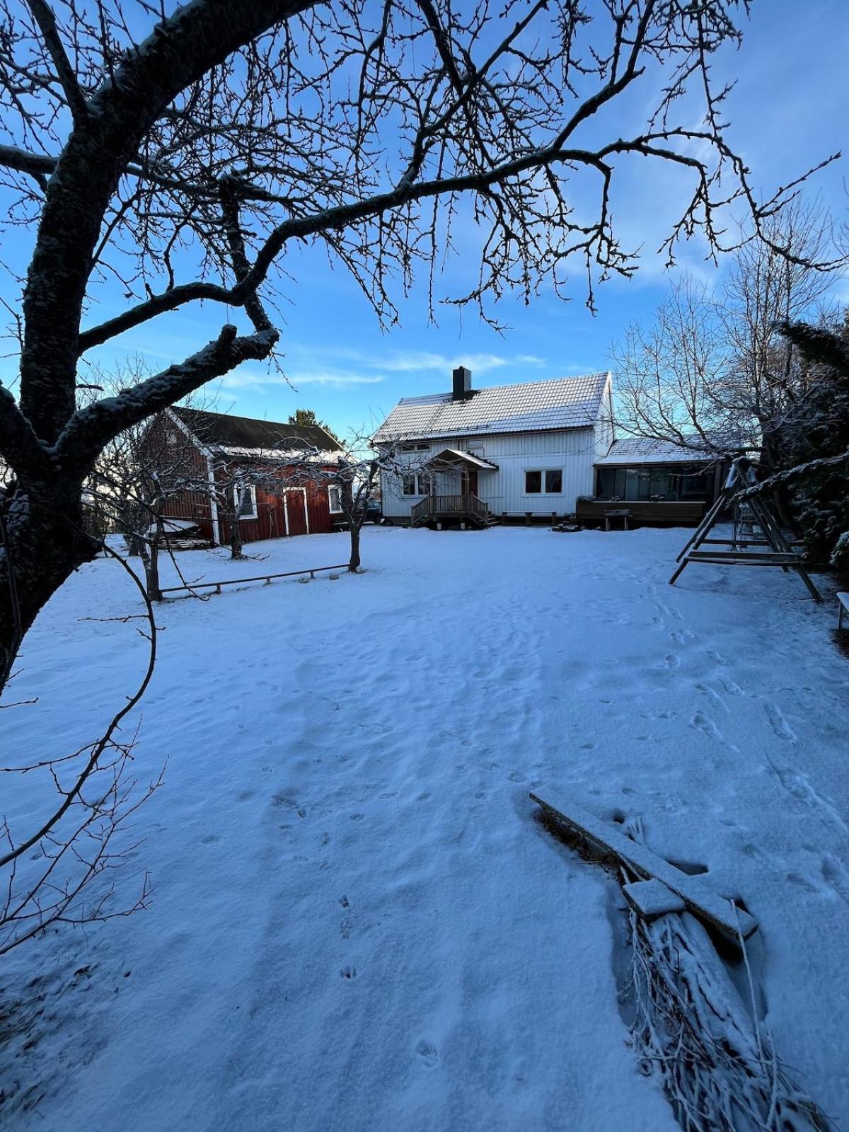 Older Villa With Large Garden Trondheim Eksteriør bilde