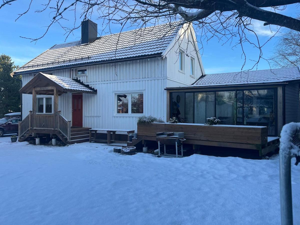 Older Villa With Large Garden Trondheim Eksteriør bilde